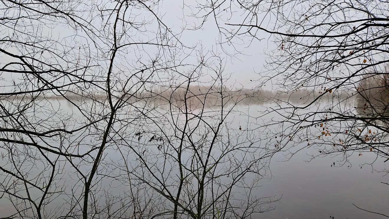 Ook vanochtend was het grijs. De komende dagen komt er wat meer tekening in de lucht - Nely van Frankenhuyzen