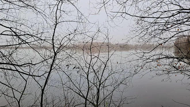 Ook vanochtend was het grijs. De komende dagen komt er wat meer tekening in de lucht - Nely van Frankenhuyzen