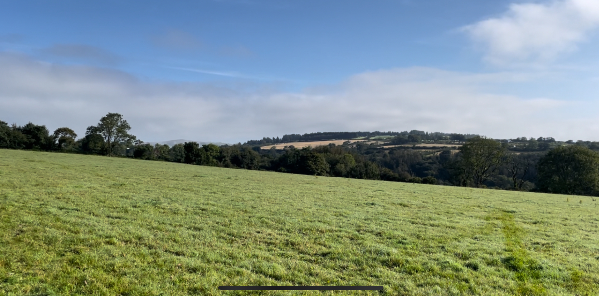 Where It Begins
