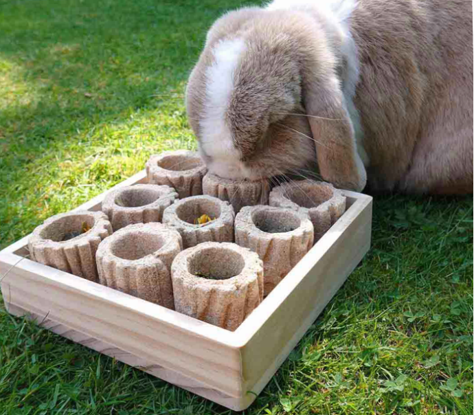 forage tray
