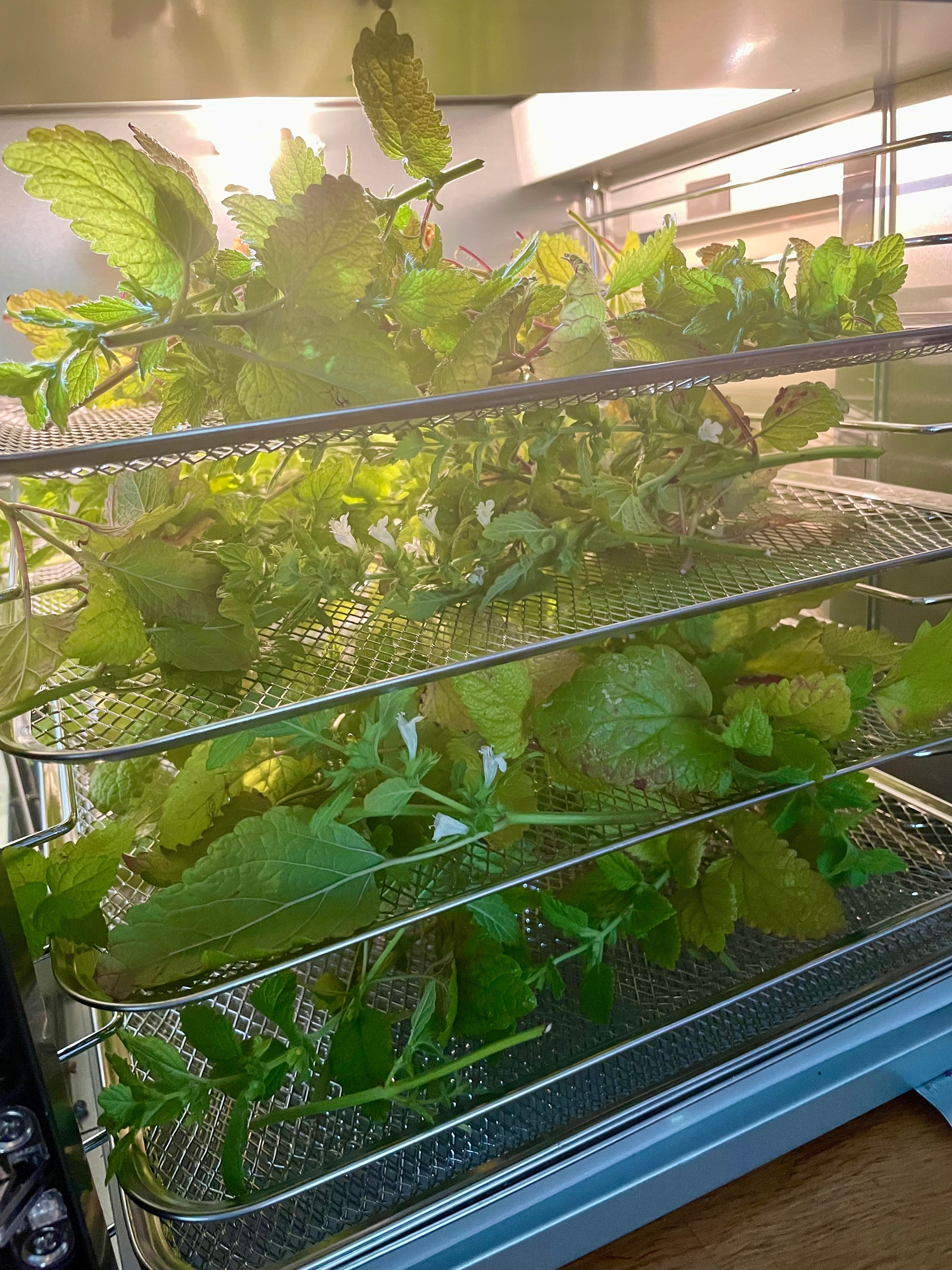 Bramble & Bloom is going off-grid!