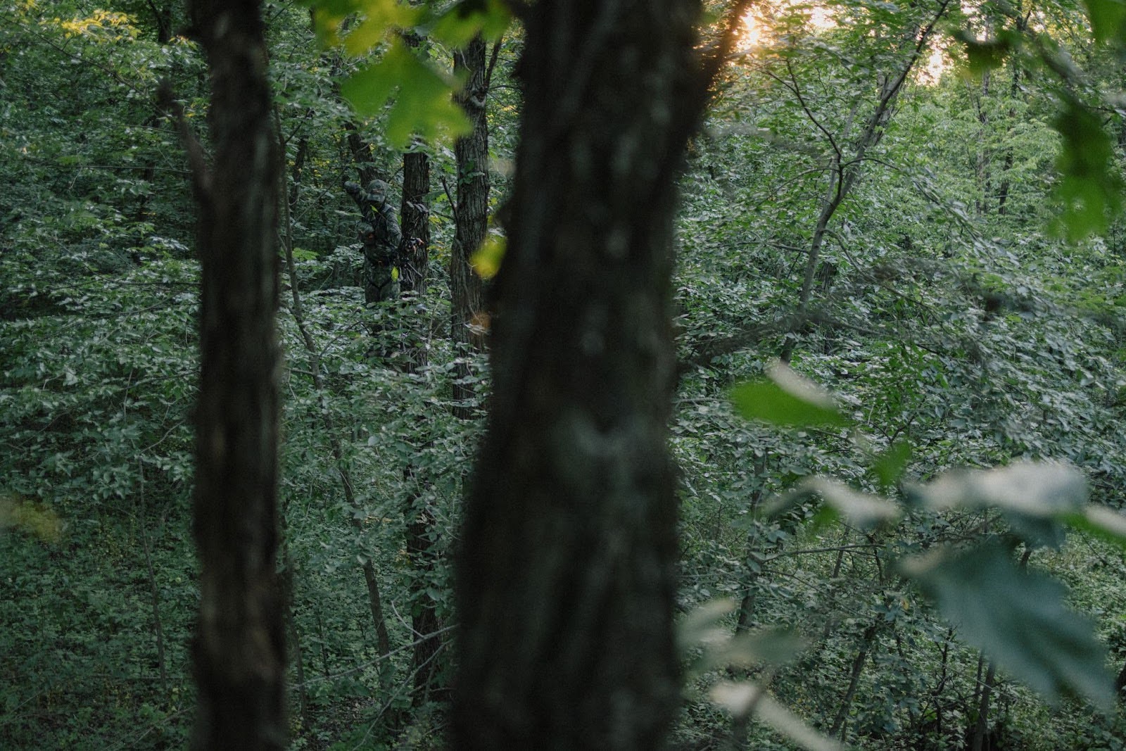 can you smoke cigarettes while deer hunting Do think cigarette spooks deer? #hunting #huntingseason #deer #deerseason #deerhunting #whitetail #whitetaildeer #whitetaildeerhunting #whitetaildeerhuntingseason Does smoking while deer hunting
