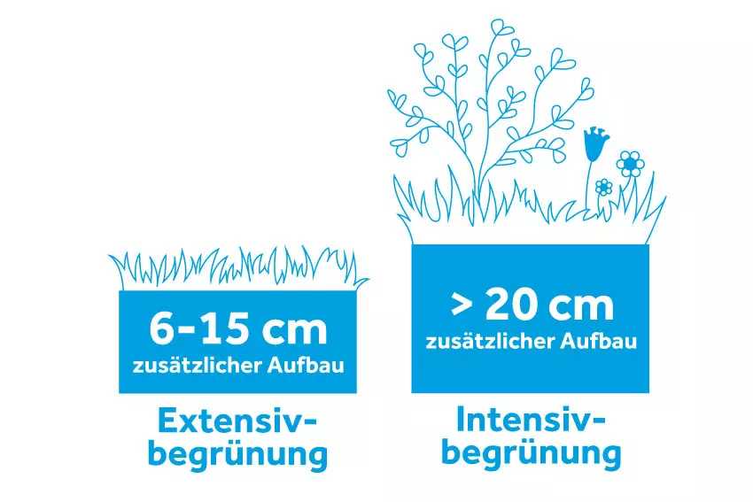 Gründach: Infografik bezüglich der Aufbauhöhe für Extensiv- und Intensivbegrünung.