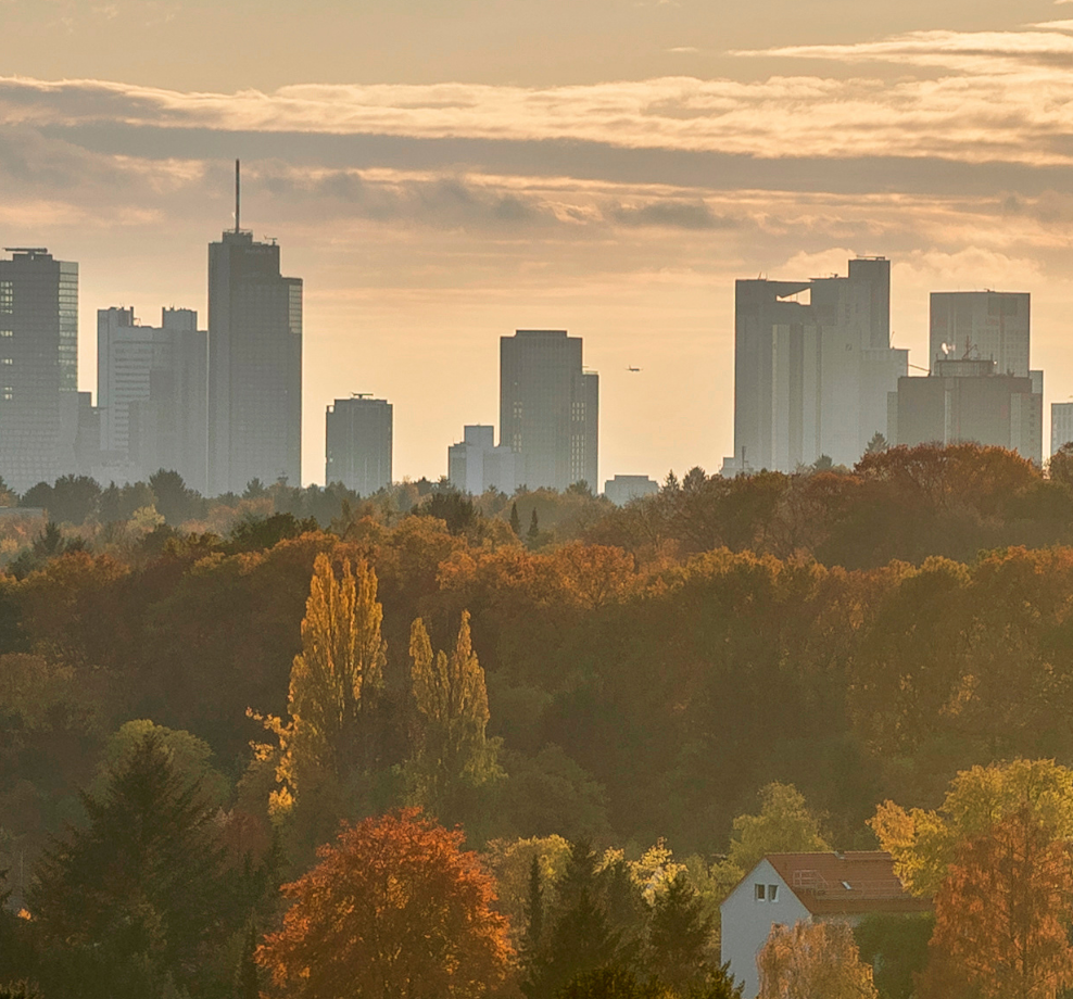 Herbstliche Landschaft, im Hintergrund der ist die Sykline von Frankfurt am Main zu sehen.