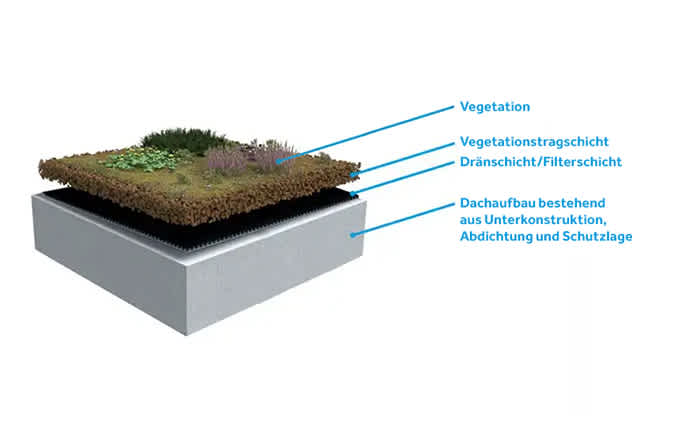 Ein Gründachaufbau von BMI.