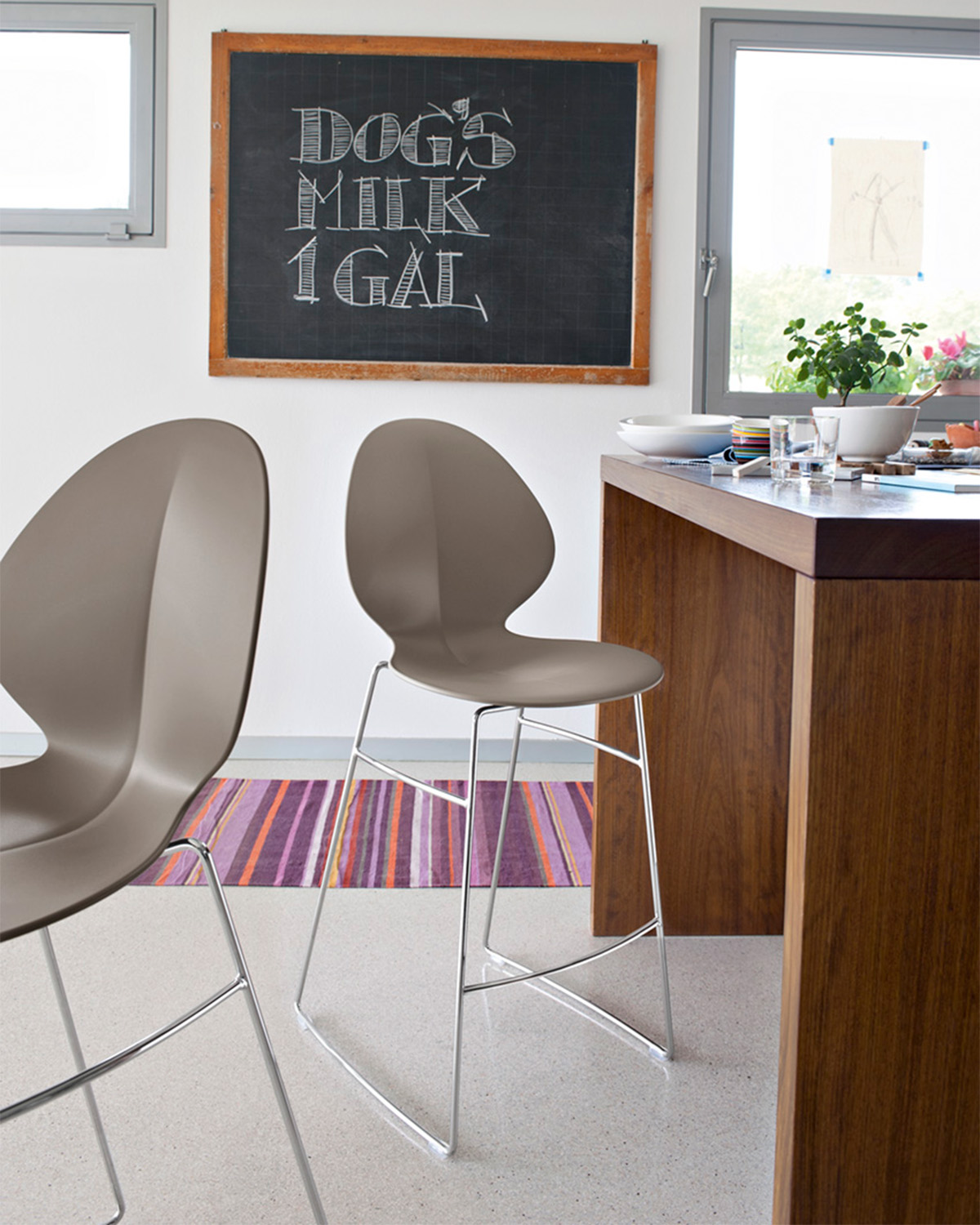 Basil_cs1354_P77_P900