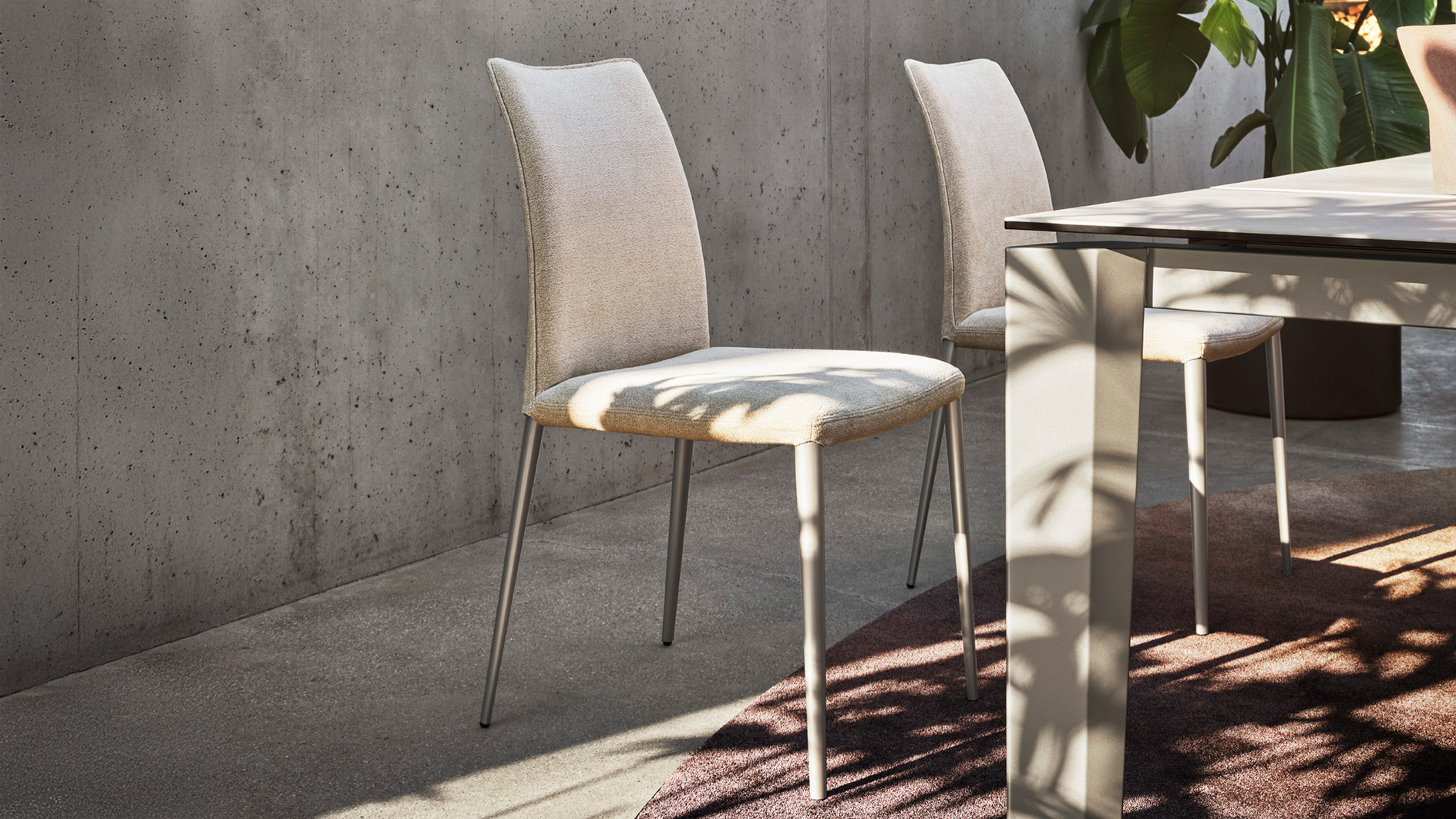 Fay_cs2249-S_P46M_T3Q_cs4097-R_P46M_P36C_cs7192