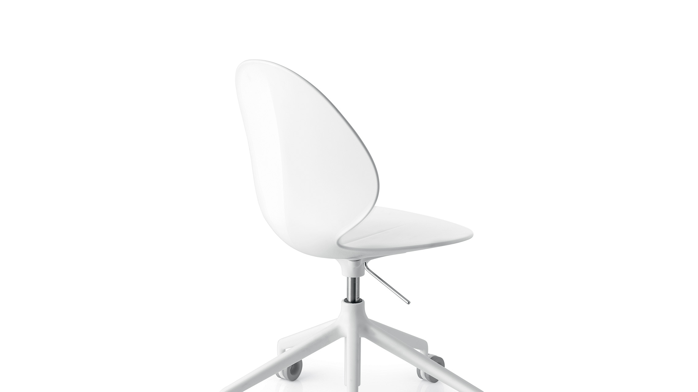 Basil cs1857 P94 back