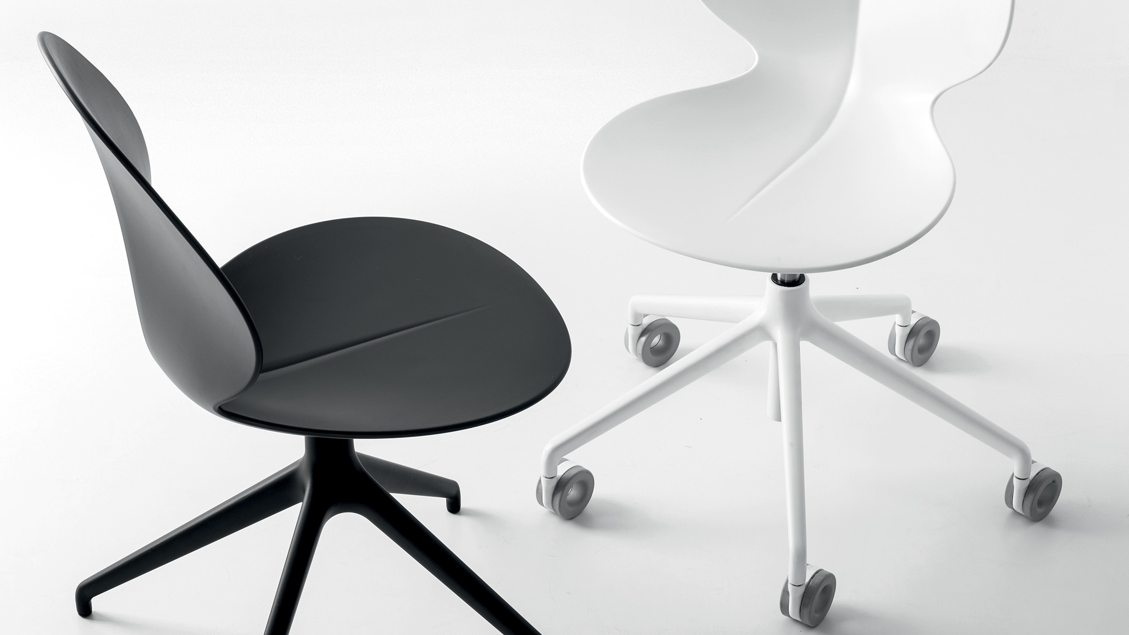 Basil cs1856 P15 cs1857 P94