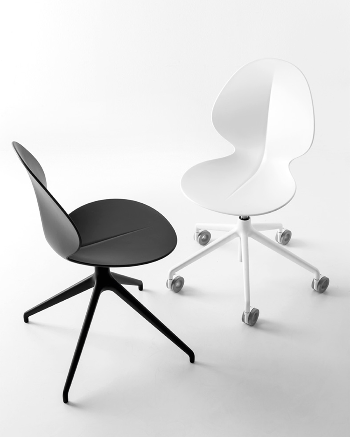 Basil cs1856 P15 cs1857 P94