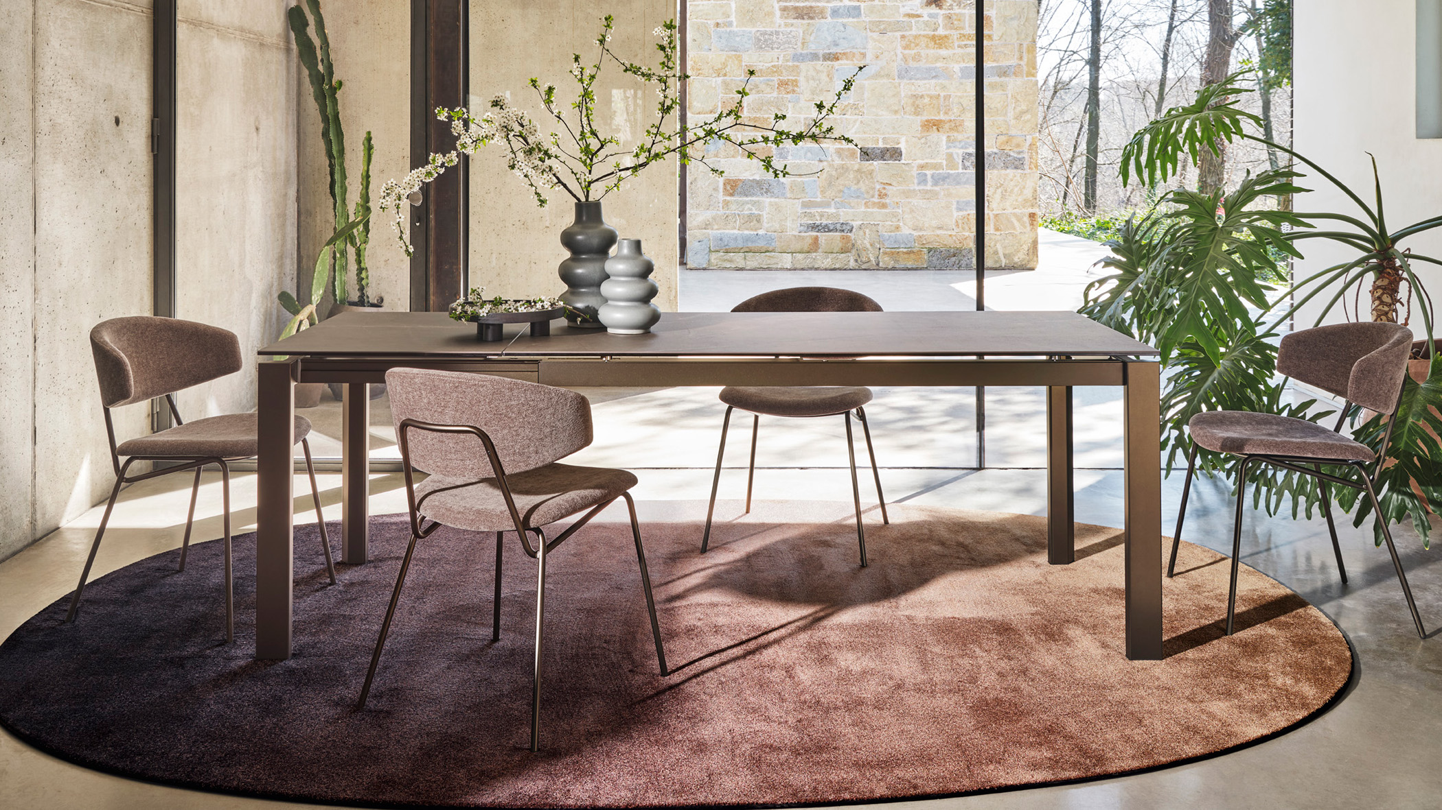 Sophia cs4089-R P29L P14C cs1890 P29L T3S cs7192