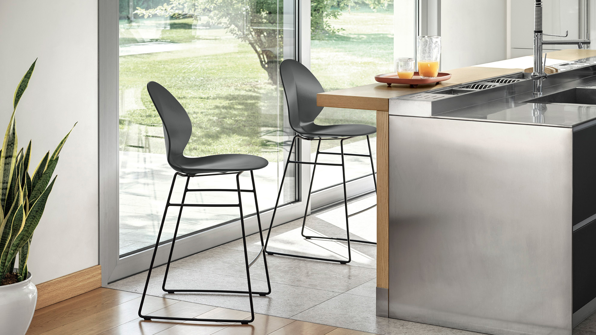 ELEMENT_IMAGE_Basil_cs1354_P15_P16_O