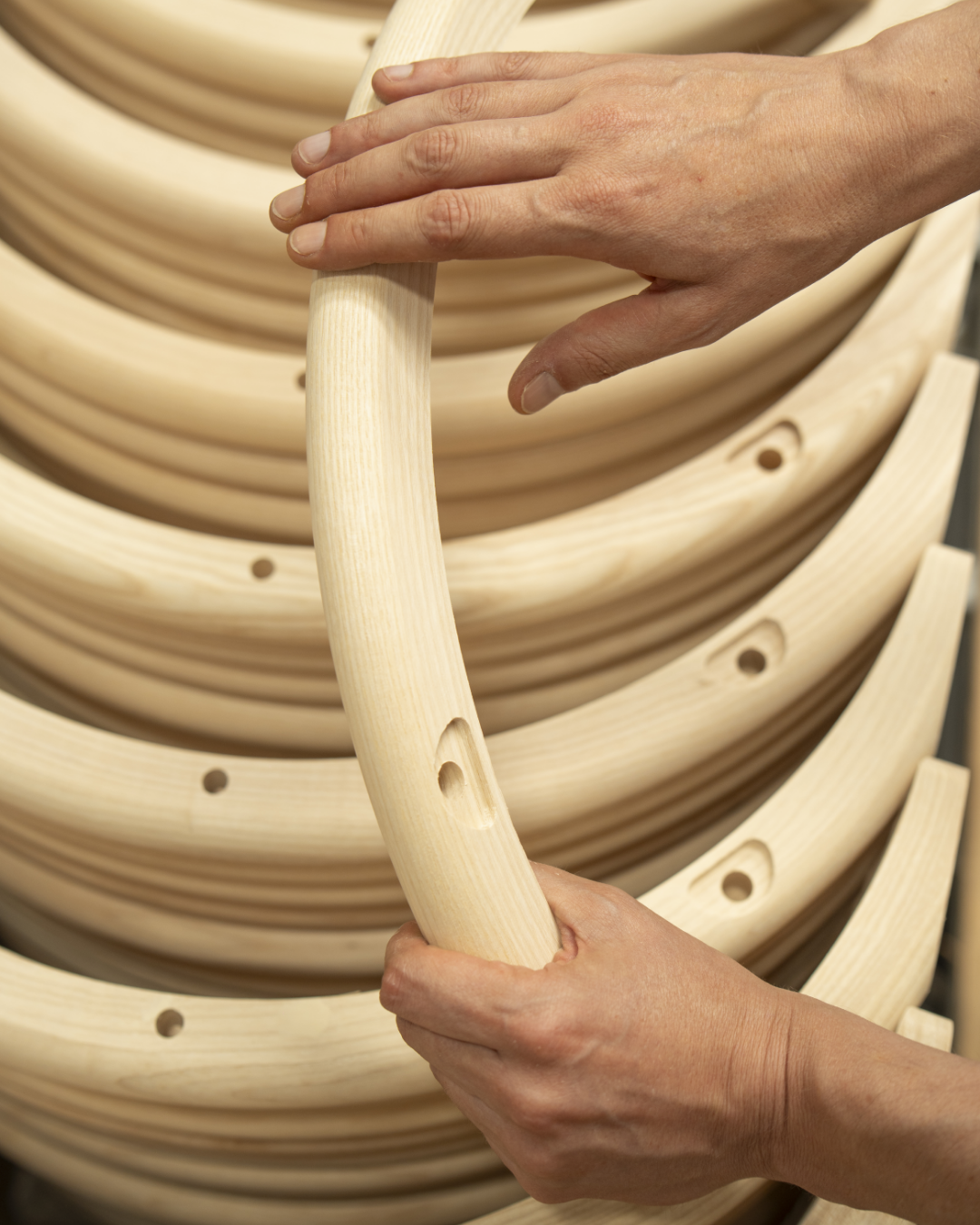 video_legno_sostenibilità _IMG_MANI 