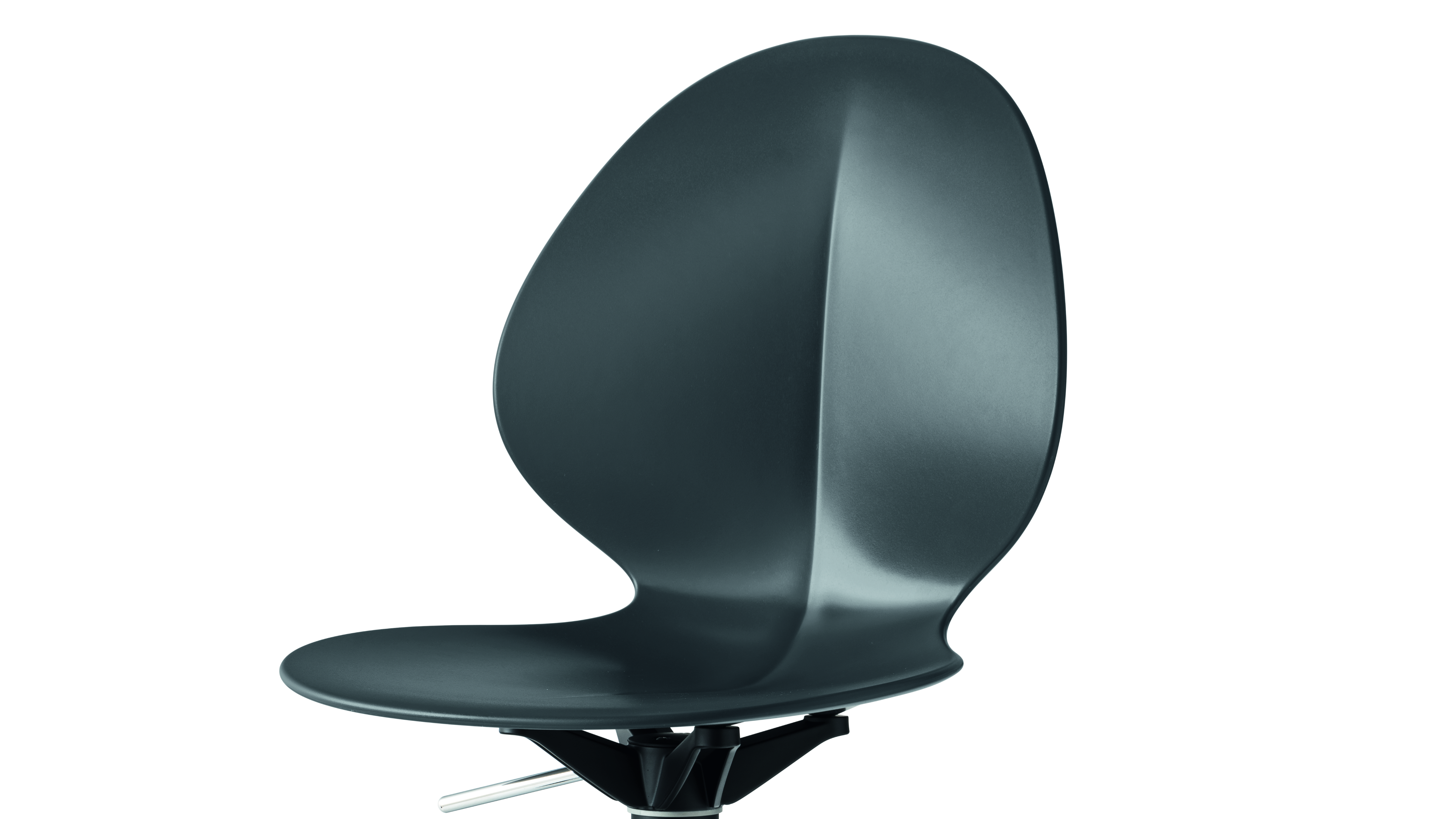 cs2233 scontornata