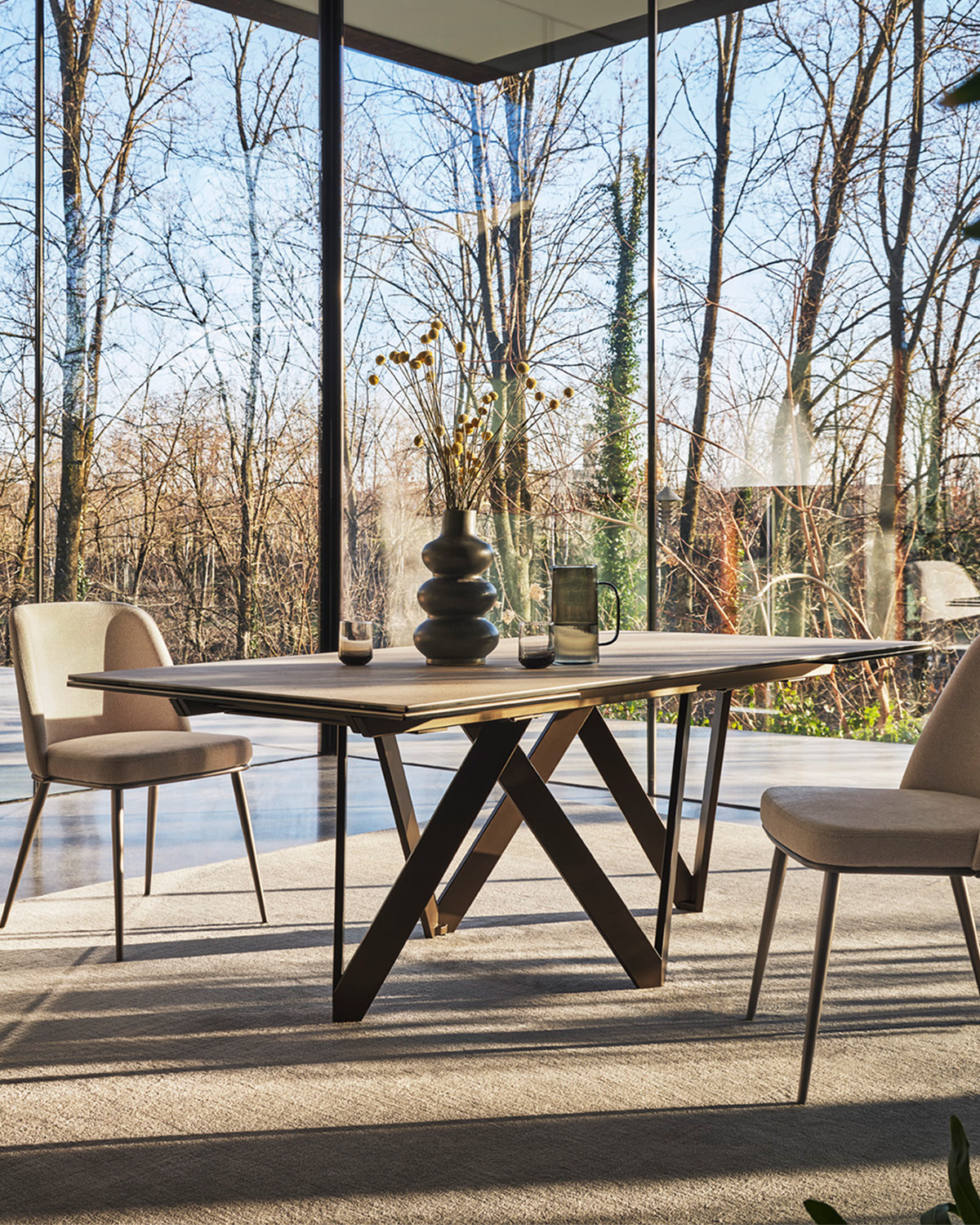 Cartesio_cs4111-R_MTO_P29L_P36C_cs1896_P29L_T3Q_cs7266_cl