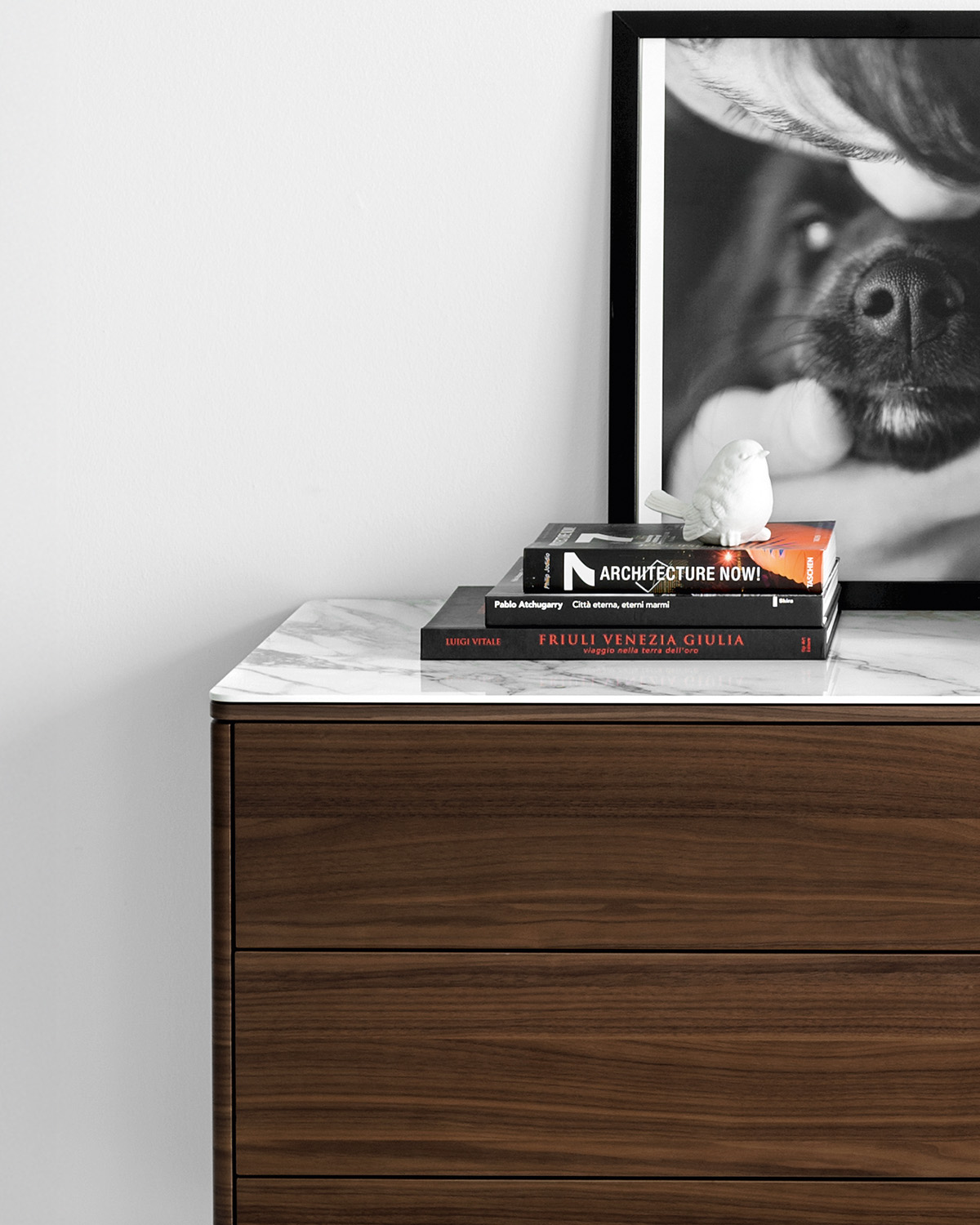 Boston cs6046-HC P12 P2C V