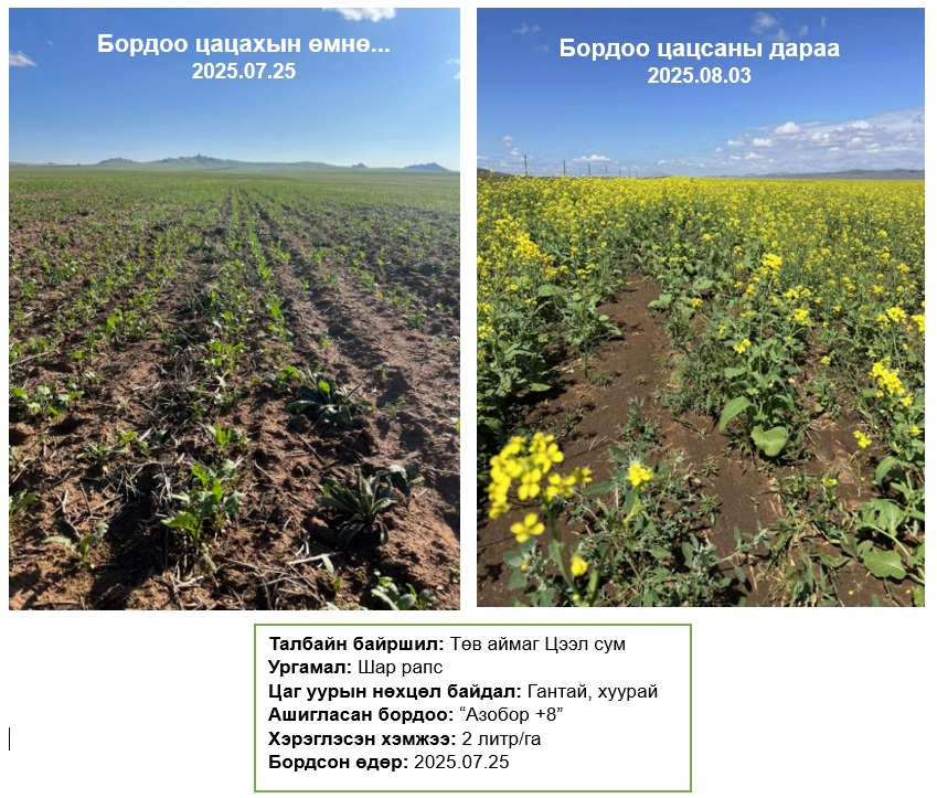 Бидний химийн бүтээл зураг