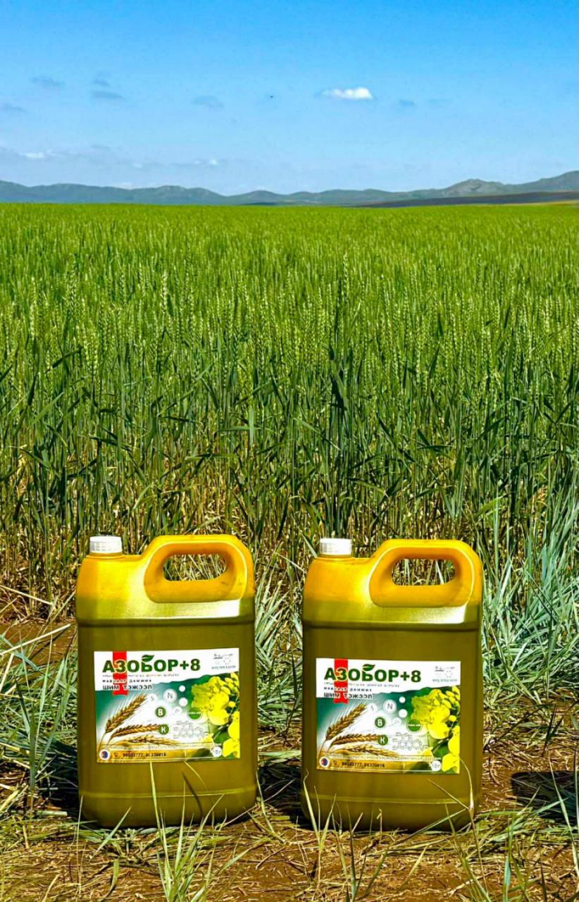 Бидний химийн бүтээл зураг