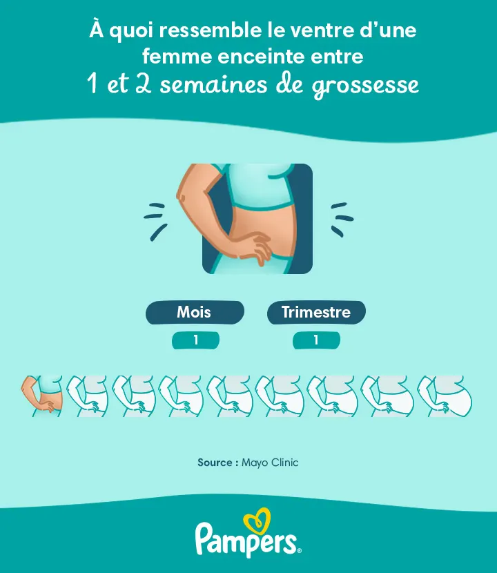 1 semaine de grossesse (3 SA) : la première semaine | Pampers FR