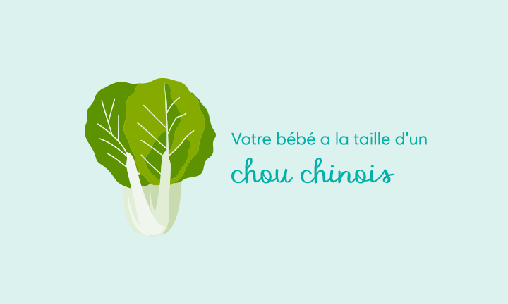 32 Semaines De Grossesse Pampers Fr