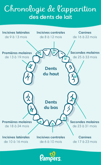 10 symptômes d'une poussée dentaire chez bébé - BÉBÉ À TABLE
