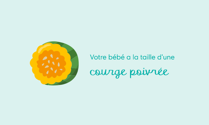 25 Semaines De Grossesse Pampers Fr