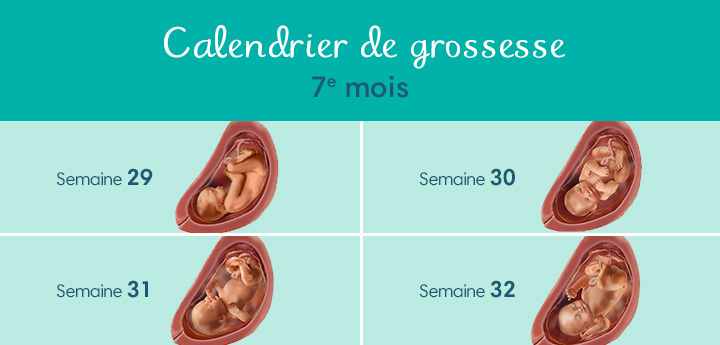 7 semaines de grossesse (9 SA) : qu'est-ce qui change ?