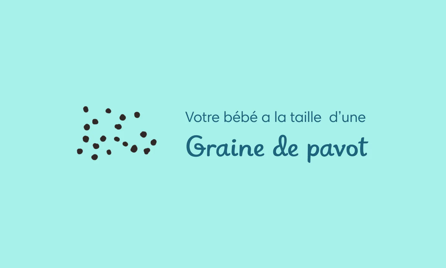 Recevez votre livre de grossesse