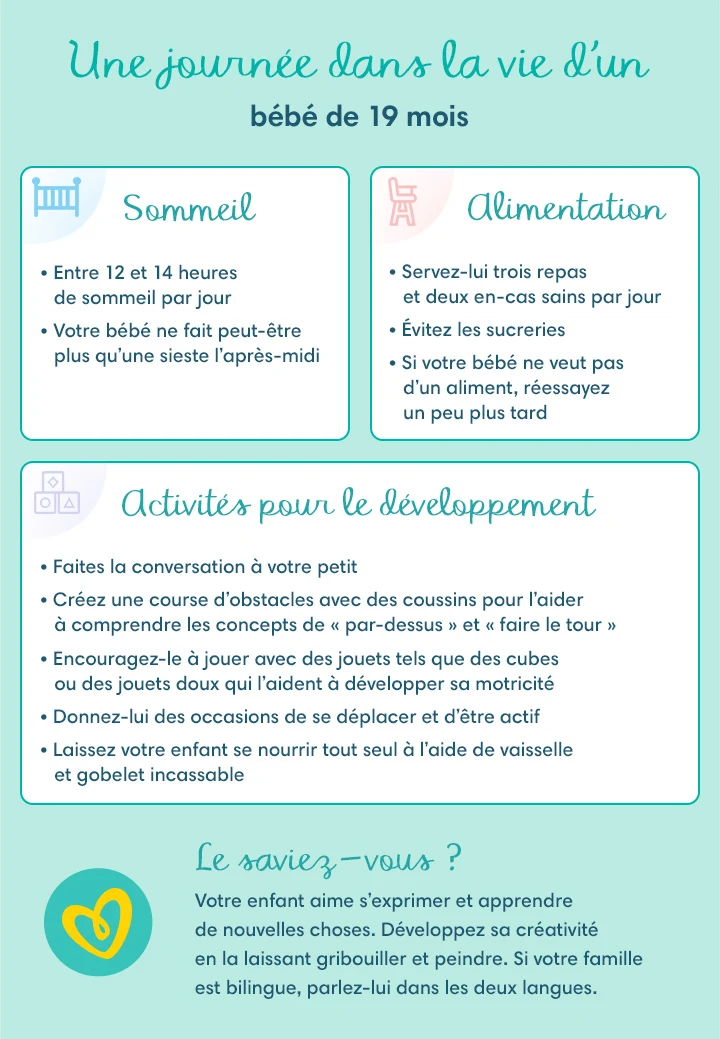 Bebe De 19 Mois Les Etapes Du Developpement Pampers Fr