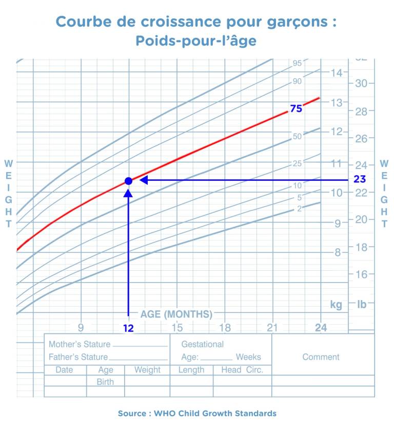 Courbe De Croissance Comment Ca Marche Pampers