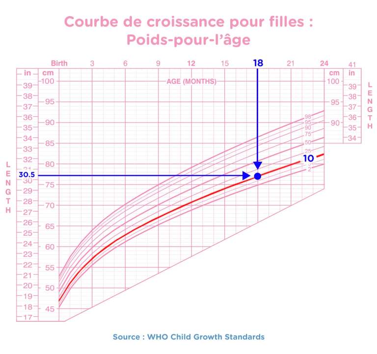 Courbe De Croissance Comment Ca Marche Pampers