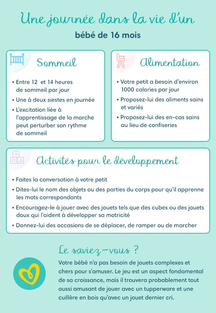 Une journée dans la vie d’un bébé de 16 mois Une journée dans la vie d’un bébé de 16 mois