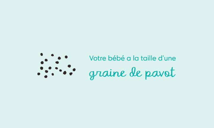 4 Semaines De Grossesse Symptomes Et Conseils Pampers