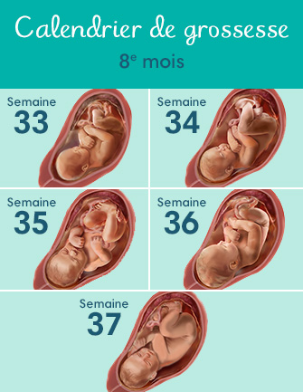 8e mois de grossesse : les dernières étapes | Pampers FR