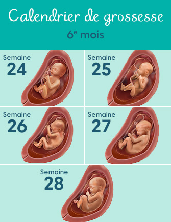 6 mois de grossesse : se préparer pour bébé | Pampers FR