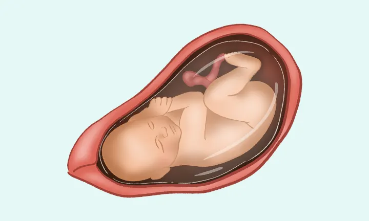 Un bébé après 37 semaines de grossesse