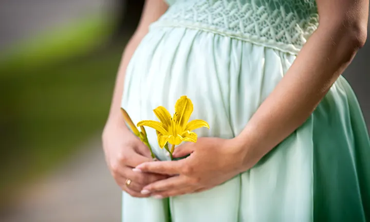 12 PETITES FLEURS - NOMS et PHOTOS