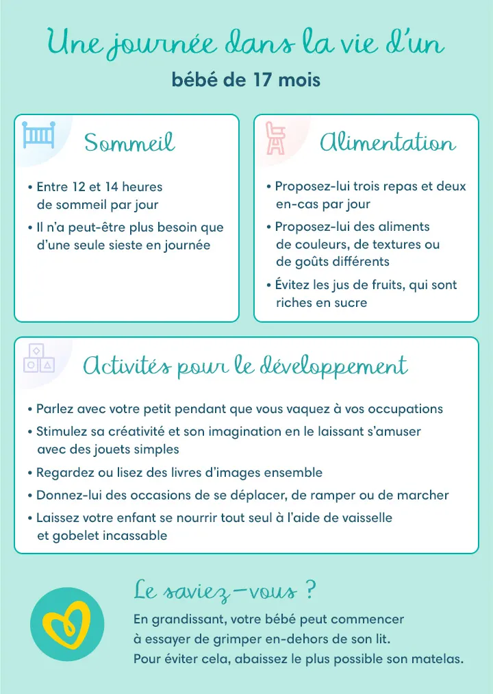 Une journée dans la vie d’un bébé de 17 mois Une journée dans la vie d’un bébé de 17 mois