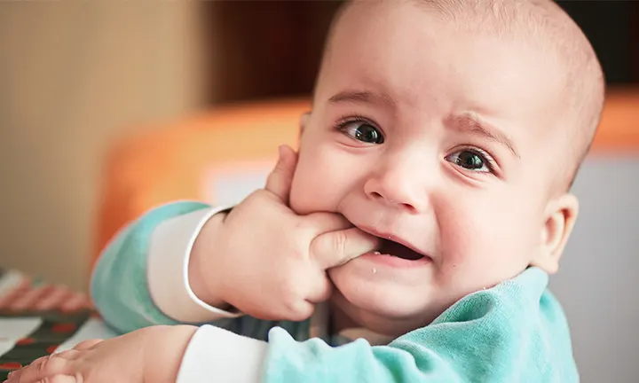 À quel âge votre bébé a-t-il percé sa première dent? - Trucs et astuces -  Centre Santé Dentaire à Val-Bélair