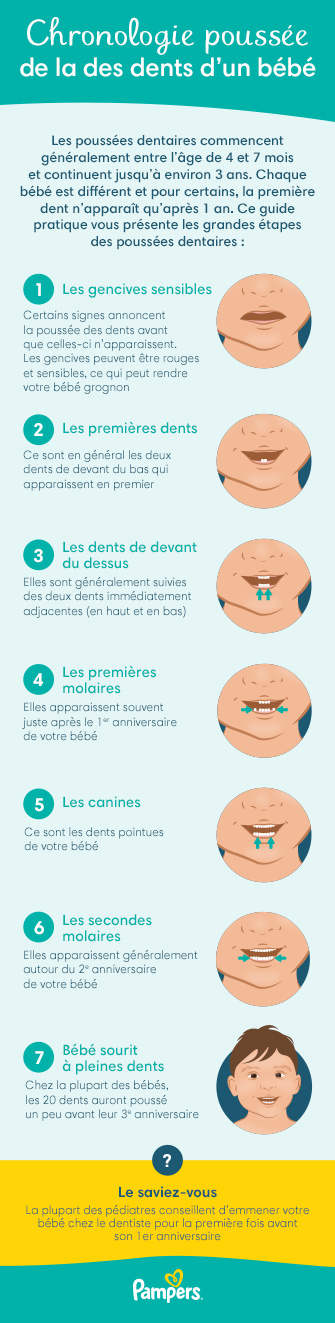 Poussées Dentaires Des Bébés (Et Maux De Dents Des Adultes !) - Lys Dental