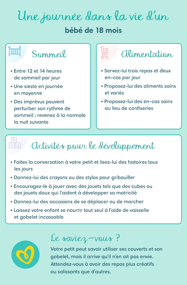 Bébé 18 mois (un an et demi) : alimentation, repas, développement, sommeil