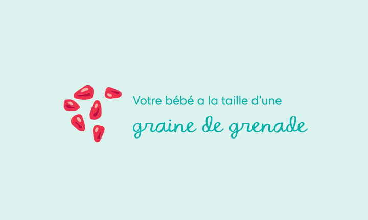 6 Semaines De Grossesse Symptomes Et Conseils Pampers