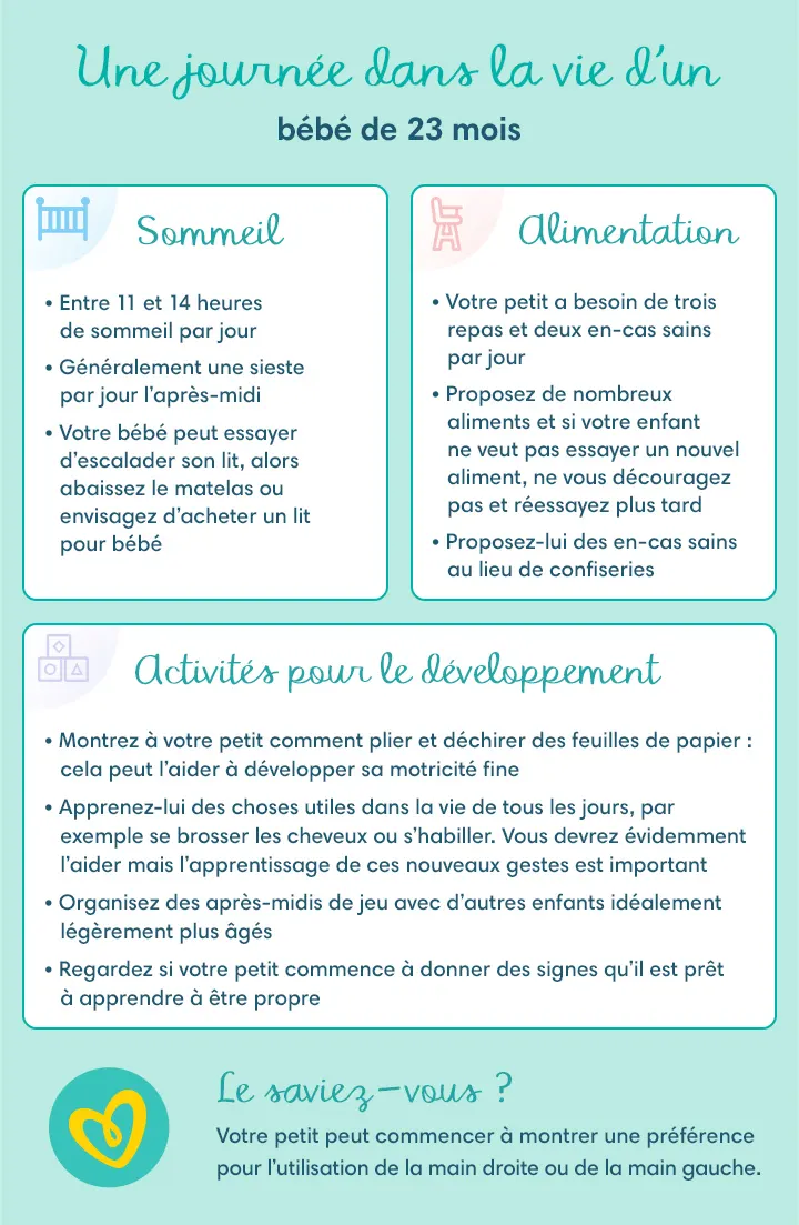 Une journée dans la vie d’un bébé de 23 mois Une journée dans la vie d’un bébé de 23 mois