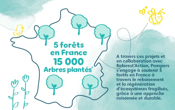5 forêts en France 15 000 arbres plantés