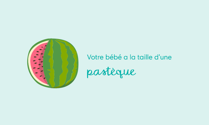 Your baby is the size of a watermelon Your baby is the size of a watermelon