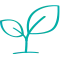 plant icon 60x60