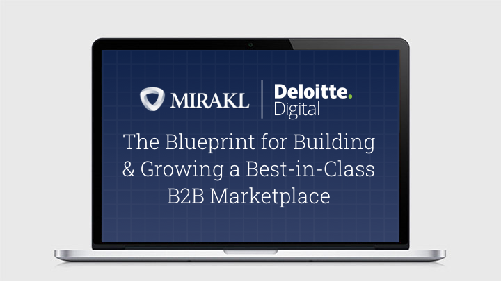 The Blueprint for Building & Growing a Best-in-Class B2B Marketplace eBook