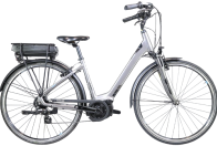 VTC électriques par marque