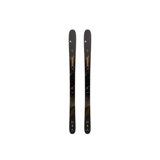 Rossignol Hero Athlete GS193cm ROSSIGNOL GS193cm