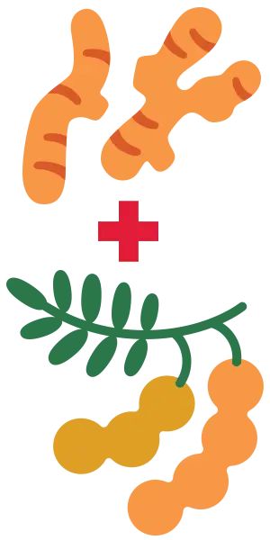 Turmeric + Tamarind Icon